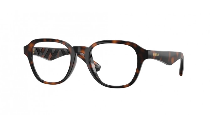  Burberry BE2444U-3002-49