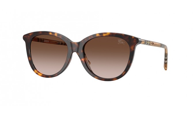 Sunglasses Burberry BE4455-421613