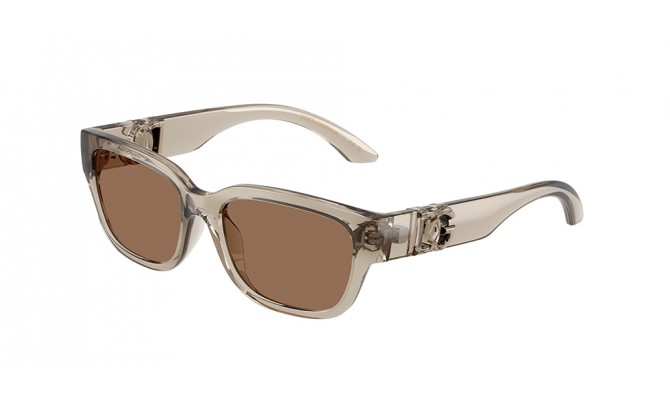 Sunglasses Dolce&Gabbana DX6009-329173