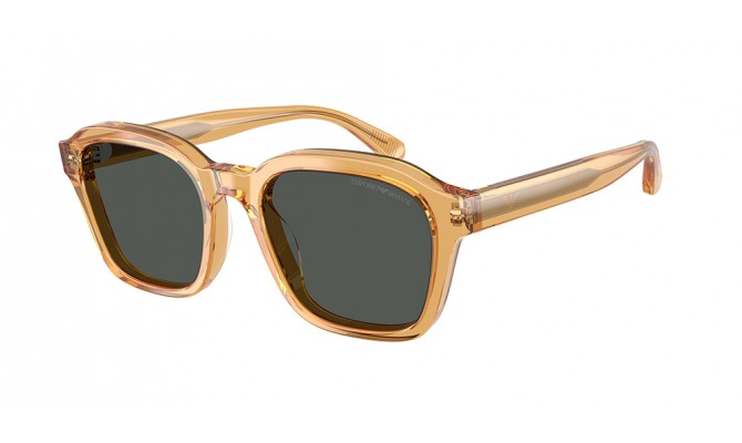 Sunglasses Emporio Armani EA4245U-624687