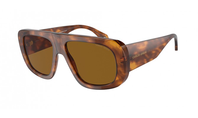 Sunglasses Giorgio Armani AR8183-598833