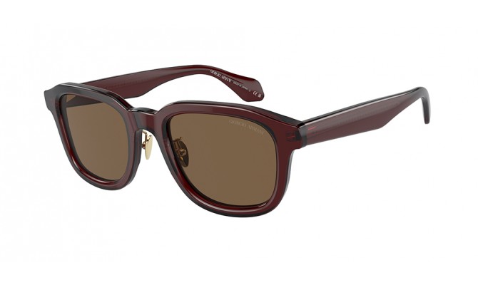 Sunglasses Giorgio Armani AR8206-606273