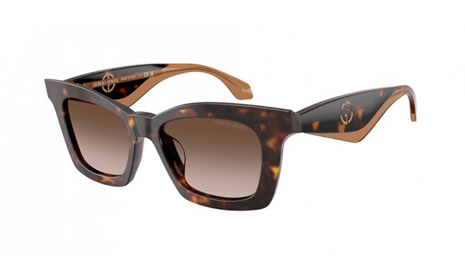 Sunglasses Giorgio Armani AR8235U-502613