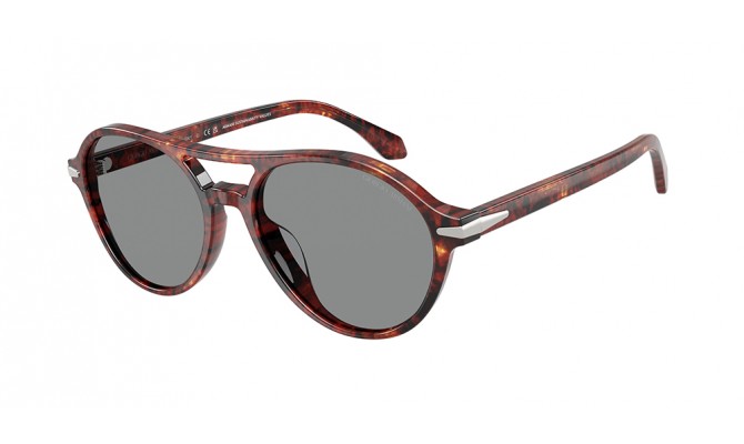 Sunglasses Giorgio Armani AR8236U-623402