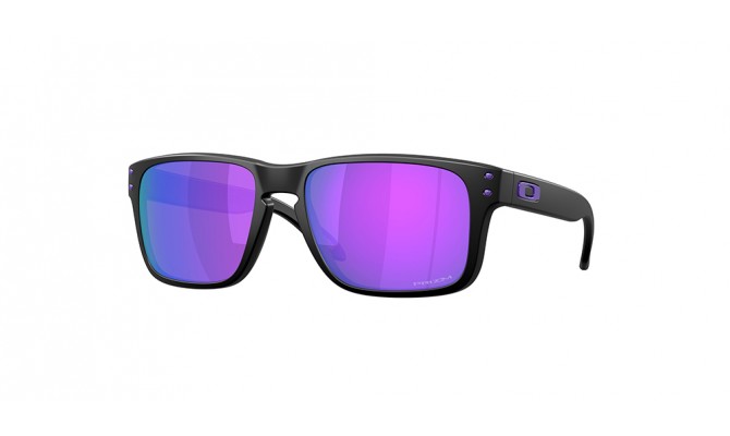  Oakley HOLBROOK S OO9509-950906