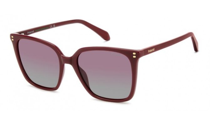 Sunglasses Polaroid PLD 4201/S/X-C9A (GC)