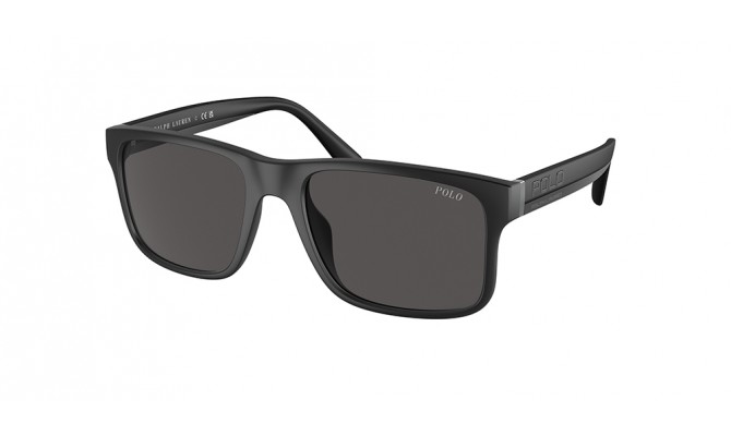 Sunglasses Polo PH4195U-500187