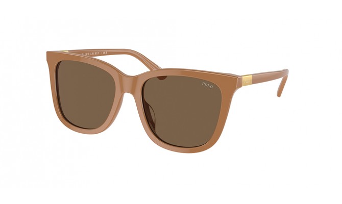 Sunglasses Polo PH4201U-619673