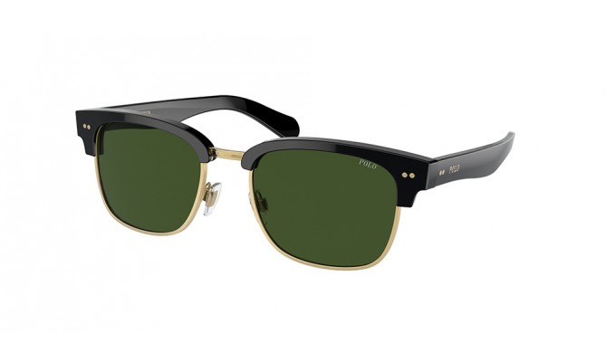 Sunglasses Polo PH4202-500171