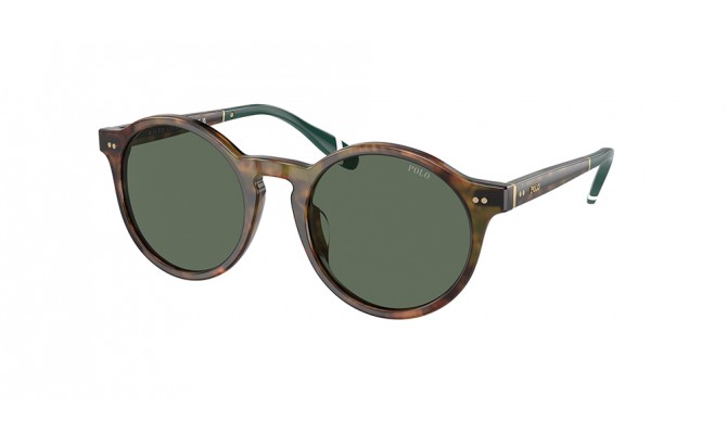 Sunglasses Polo PH4204U-501771