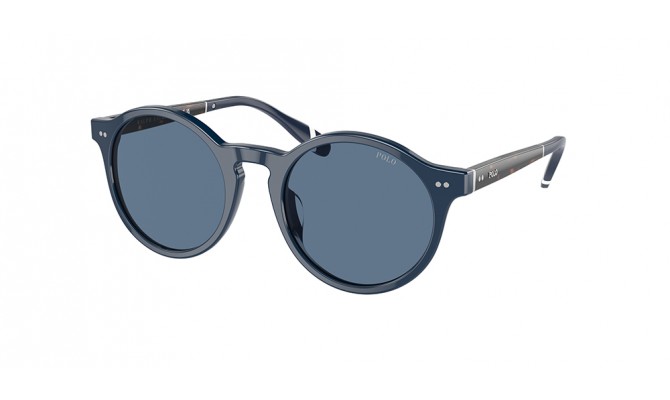 Sunglasses Polo PH4204U-546580-50