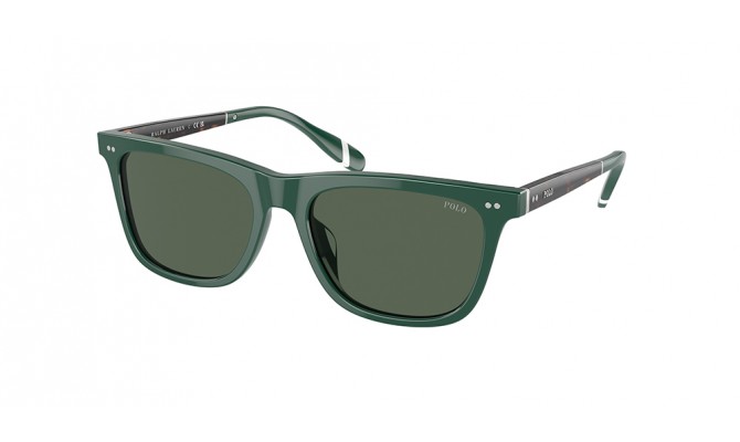 Sunglasses Polo PH4205U-614171