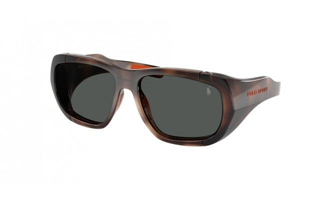 Sunglasses Polo PH4219U-597487