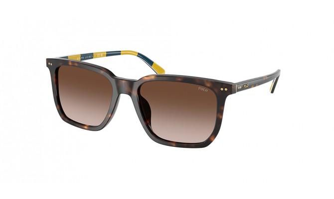 Sunglasses Polo PH4224U-500313