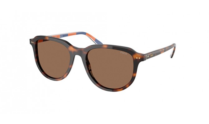 Sunglasses Polo PH4225-613773