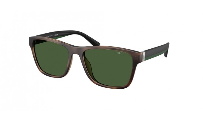 Sunglasses Polo PH4229U-607071