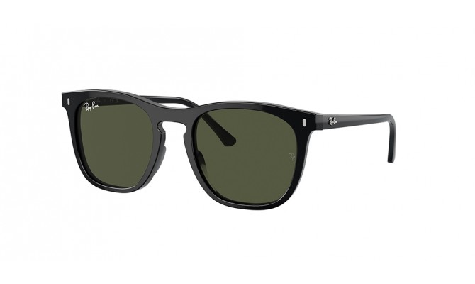  Ray-Ban ® RB2210-901/31