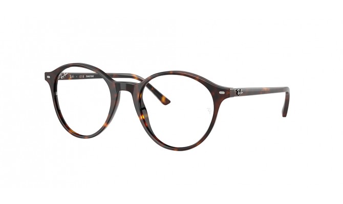  Ray-Ban ® BERNARD RB2230-902/GH