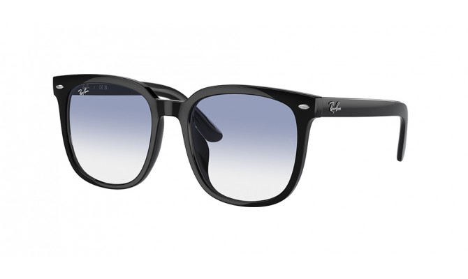  Ray-Ban ® RB4401D-601/19