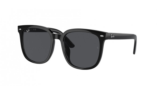  Ray-Ban ® RB4401D-601/87