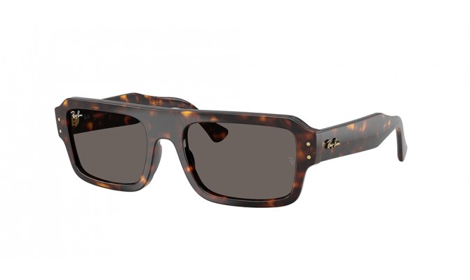  Ray-Ban ® LUKAS RB4454-1359B1