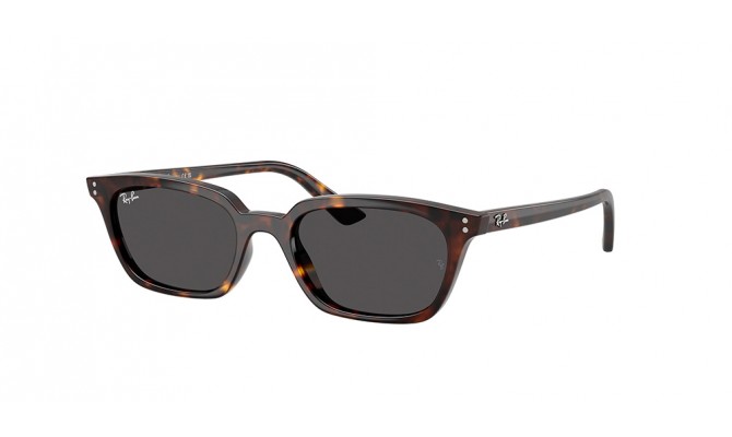  Ray-Ban ® RB4456-135987-53