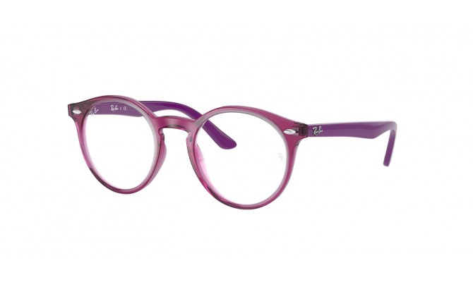  Ray-Ban RY1594-3813