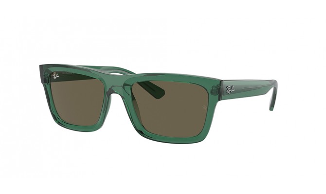  Ray-Ban ® Warren RB4396-6681/3
