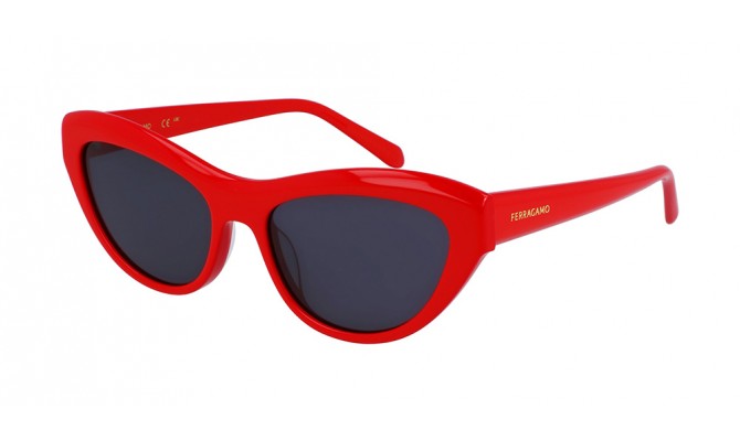 Sunglasses Salvatore Ferragamo SF1103S-600