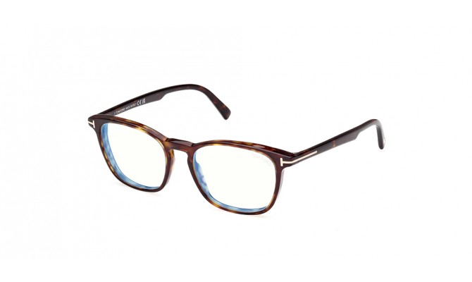 Sunglasses Tom Ford FT5960-B-052