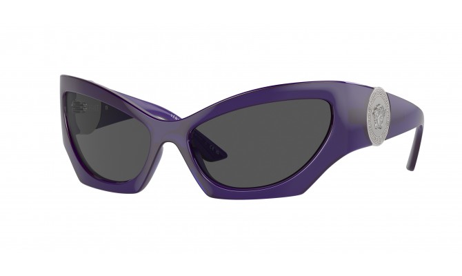 Sunglasses Versace VE4450-541987