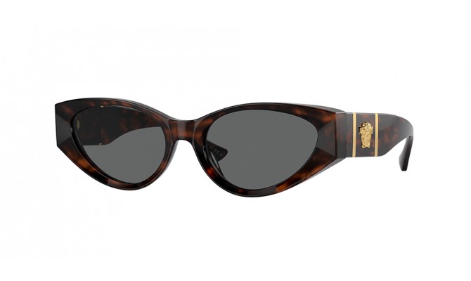 Sunglasses Versace VE4454-542987