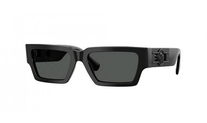 Sunglasses Versace VE4459-536087