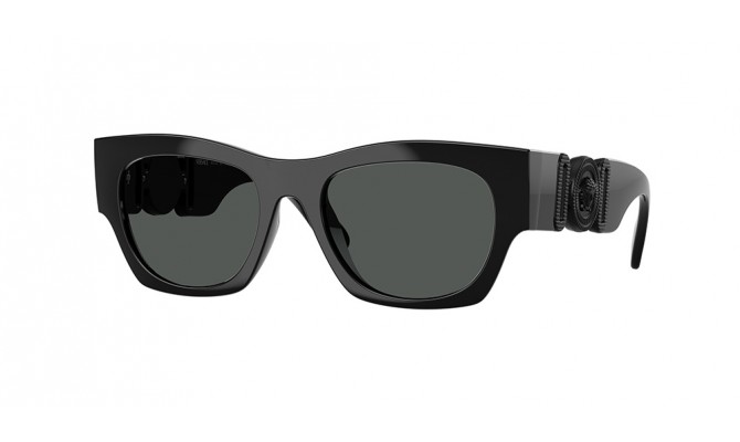 Sunglasses Versace VE4479U-536087