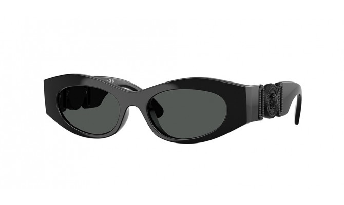 Sunglasses Versace VE4480U-536087