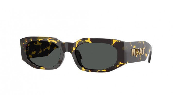 Sunglasses Versace VE4489U-552887