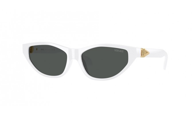 Sunglasses Versace VE4491U-314/87