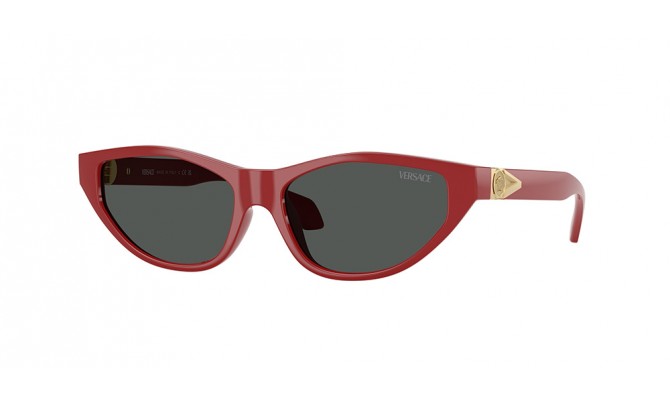 Sunglasses Versace VE4491U-538887