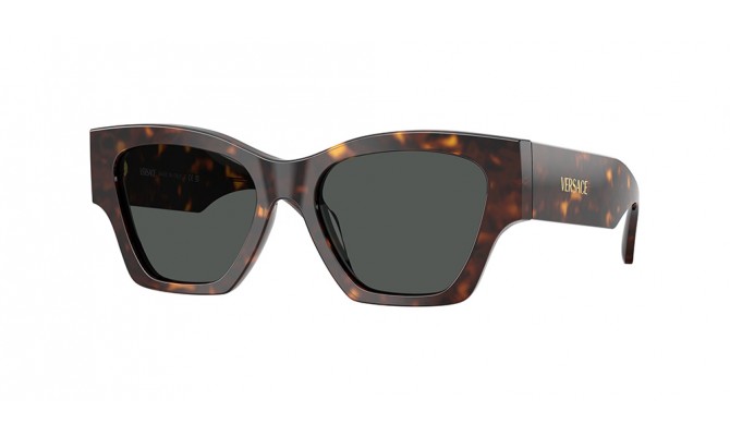 Sunglasses Versace VE4492U-108/87