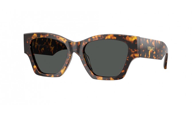 Sunglasses Versace VE4492U-551487