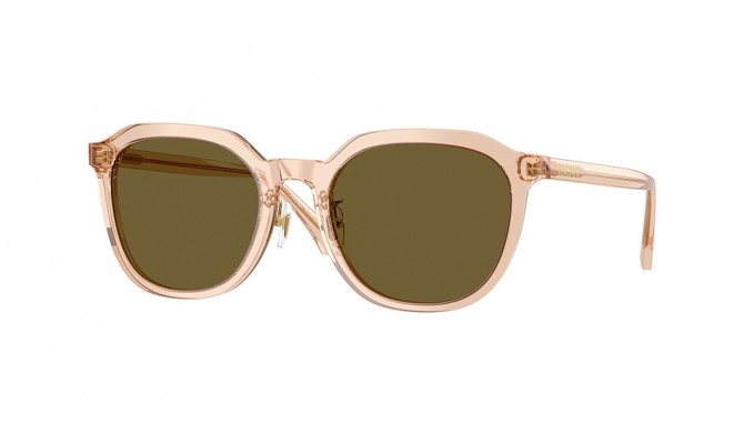 Sunglasses Versace VE4493D-551883