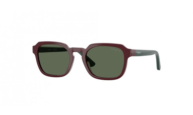 Sunglasses Vogue VJ2025-247371