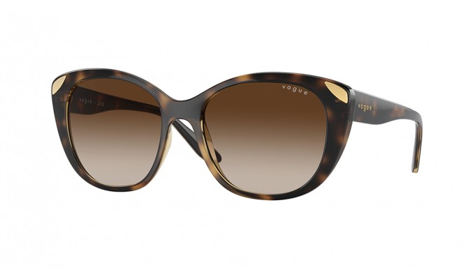 Sunglasses Vogue VO5457S-W65613