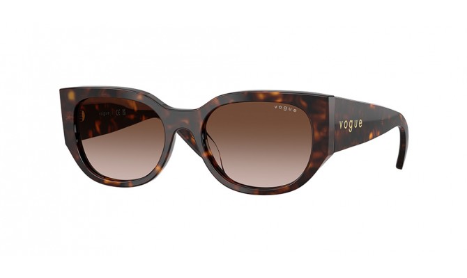 Sunglasses Vogue VO5641SU-W65613