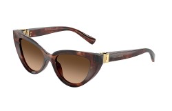 Dolce&Gabbana DG4497-322274