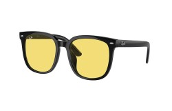Ray-Ban ® RB4401D-601/85
