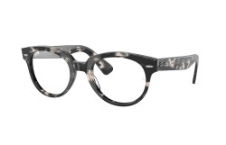 Ray-Ban RX2199V-8117-48