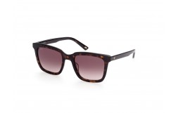Web WE0309-52N