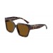 Jimmy Choo JC5047B-500283