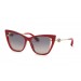 Roberto Cavalli SRC033V-09EZ